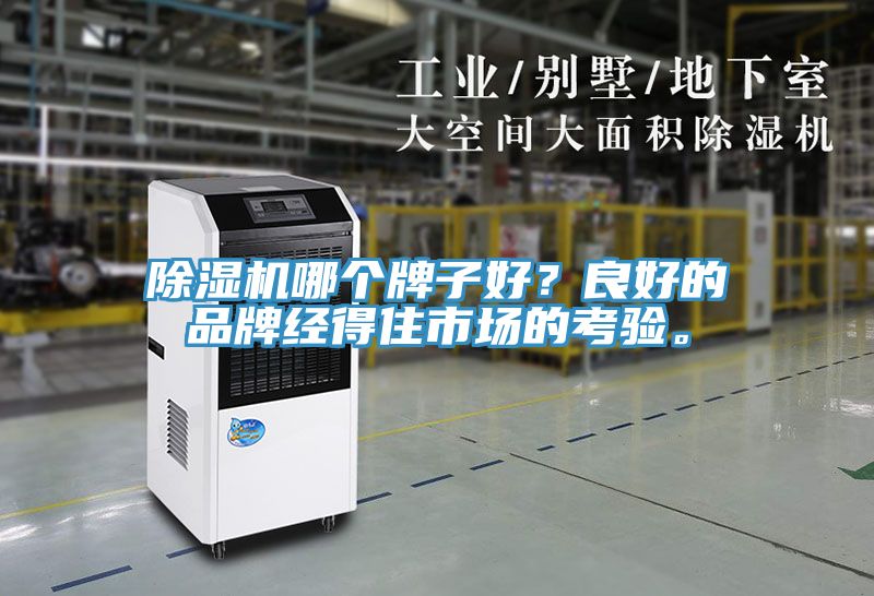 香蕉视频国产哪個牌子好？良好的品牌經得住市場的考驗。