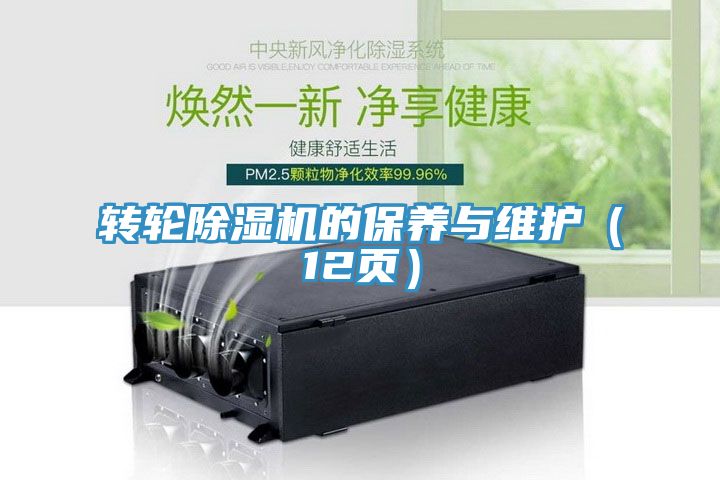 轉輪香蕉视频国产的保養與維護（12頁）