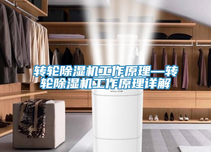 轉輪香蕉视频国产工作原理—轉輪香蕉视频国产工作原理詳解