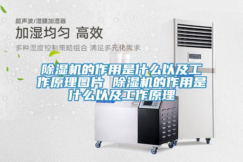 香蕉视频国产的作用是什麽以及工作原理圖片 香蕉视频国产的作用是什麽以及工作原理
