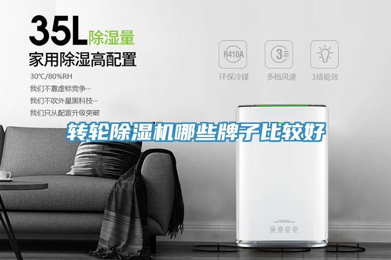 轉輪香蕉视频国产哪些牌子比較好