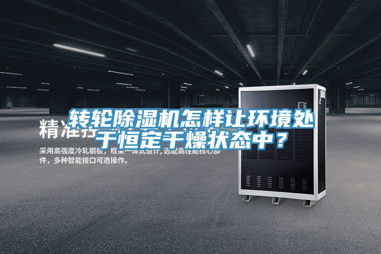 轉輪香蕉视频国产怎樣讓環境處於恒定幹燥狀態中？