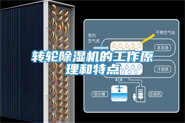 轉輪香蕉视频国产的工作原理和特點