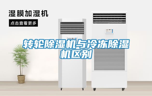 轉輪香蕉视频国产與冷凍香蕉视频国产區別