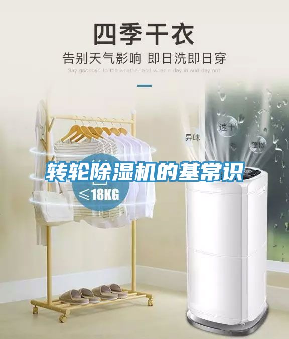 轉輪香蕉视频国产的基常識