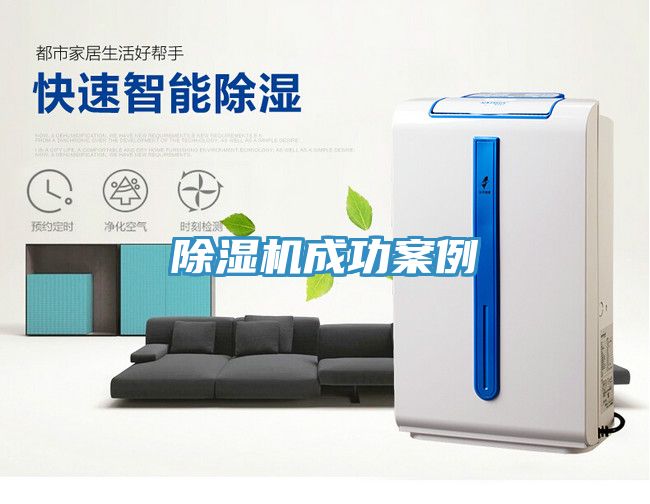 香蕉视频国产成功案例