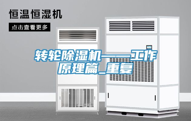 轉輪香蕉视频国产——工作原理篇_重複