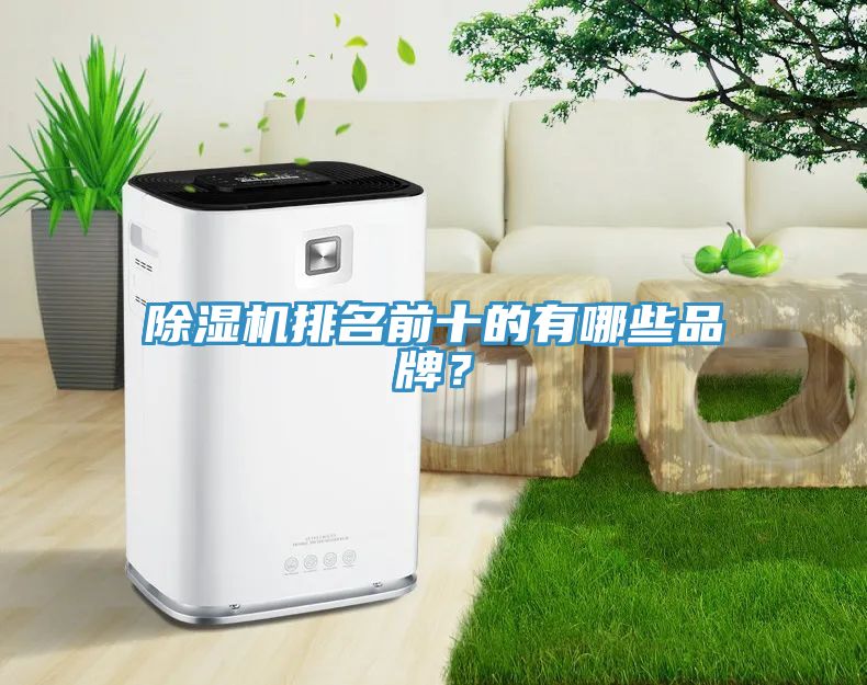 香蕉视频国产排名前十的有哪些品牌？