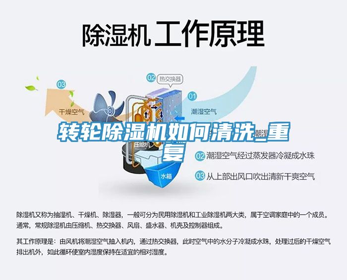 轉輪香蕉视频国产如何清洗_重複