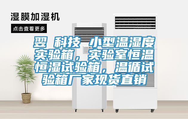 翌昇科技 小型溫濕度實驗箱，實驗室恒溫恒濕試驗箱，溫循試驗箱廠家現貨直銷