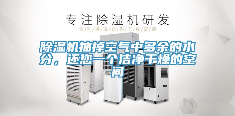 香蕉视频国产抽掉空氣中多餘的水分，還您一個潔淨幹燥的空間