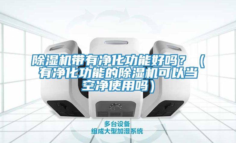 香蕉视频国产帶有淨化功能好嗎？（有淨化功能的香蕉视频国产可以當空淨使用嗎）