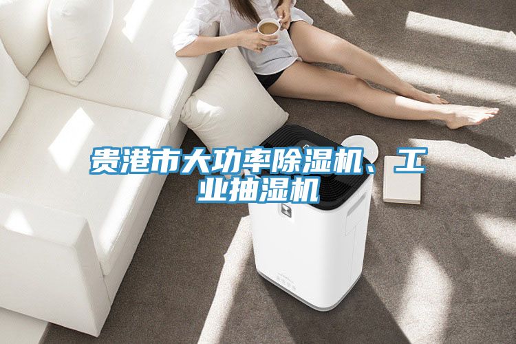 貴港市大功率香蕉视频国产、工業抽濕機