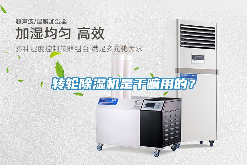 轉輪香蕉视频国产是幹嘛用的？