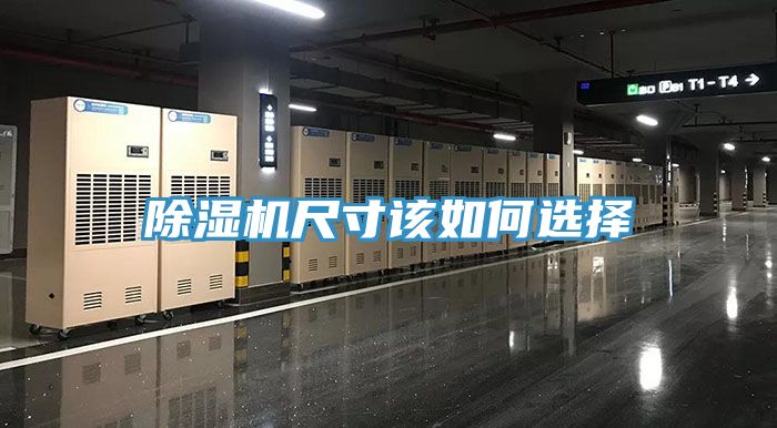 香蕉视频国产尺寸該如何選擇
