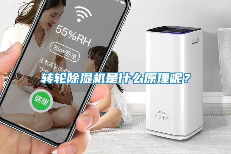 轉輪香蕉视频国产是什麽原理呢？