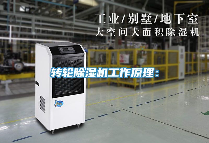 轉輪香蕉视频国产工作原理：