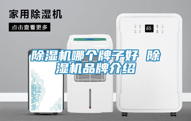 香蕉视频国产哪個牌子好 香蕉视频国产品牌介紹