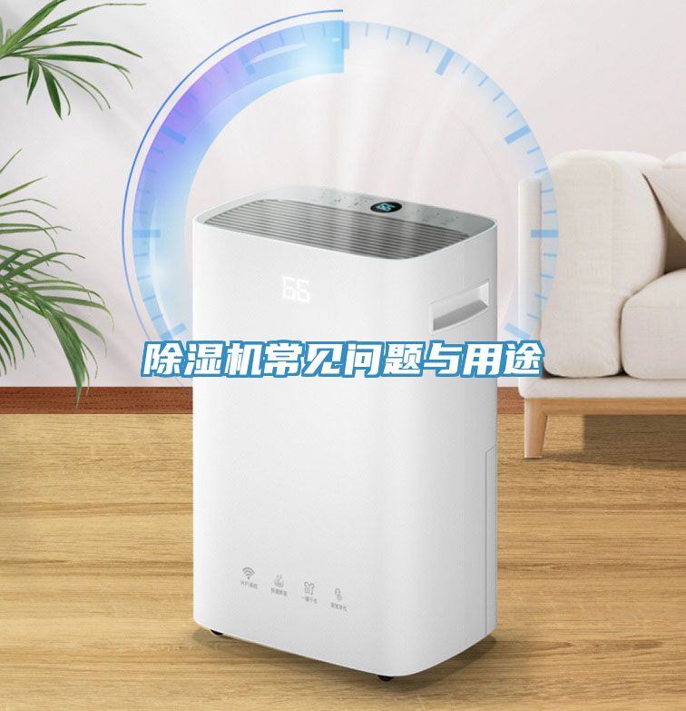 香蕉视频国产常見問題與用途