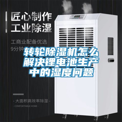 轉輪香蕉视频国产怎麽解決鋰電池生產中的濕度問題