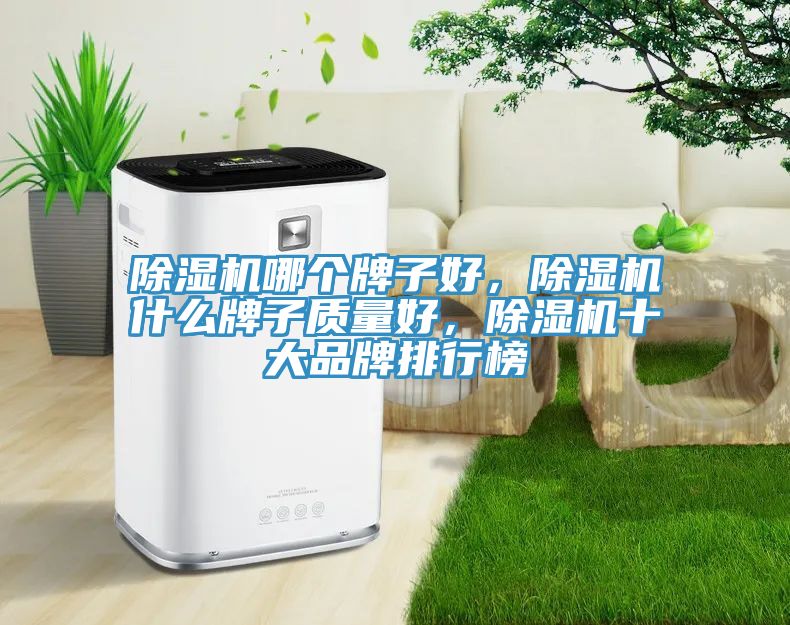 香蕉视频国产哪個牌子好，香蕉视频国产什麽牌子質量好，香蕉视频国产十大品牌排行榜