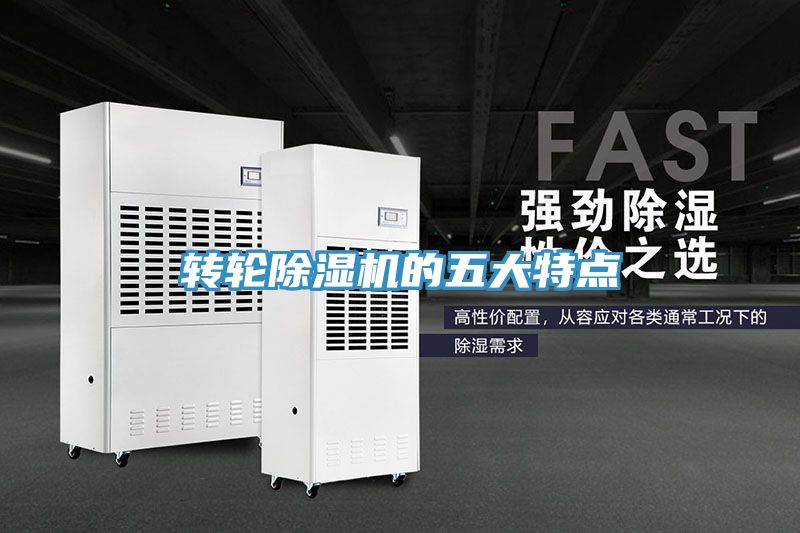 轉輪香蕉视频国产的五大特點