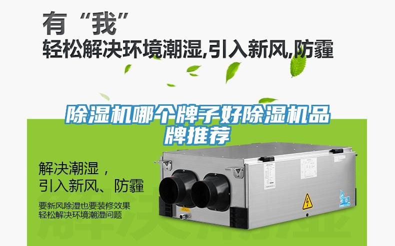 香蕉视频国产哪個牌子好香蕉视频国产品牌推薦