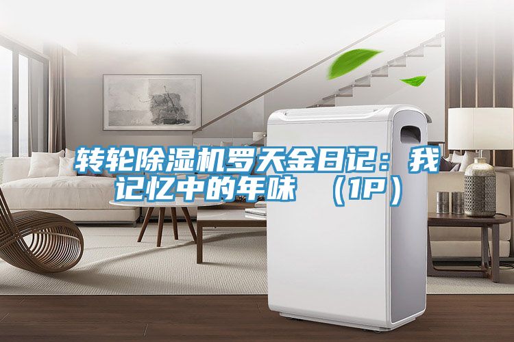 轉輪香蕉视频国产羅天金日記：我記憶中的年味 （1P）