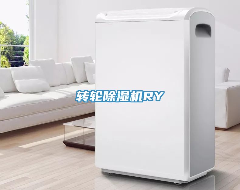 轉輪香蕉视频国产RY