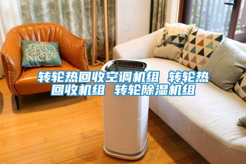 轉輪熱回收空調機組 轉輪熱回收機組 轉輪香蕉视频国产組