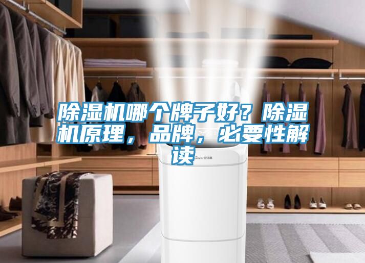 香蕉视频国产哪個牌子好？香蕉视频国产原理，品牌，必要性解讀