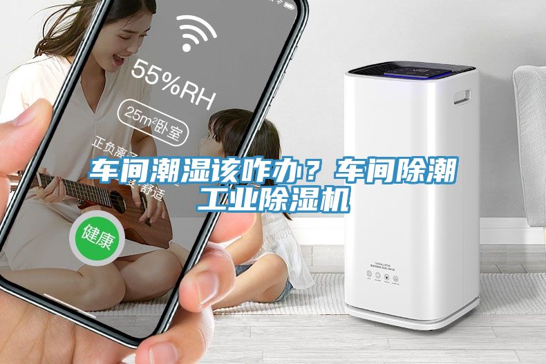 車間潮濕該咋辦？車間除潮工業香蕉视频国产