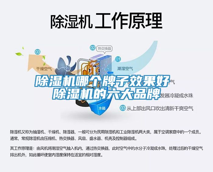 香蕉视频国产哪個牌子效果好 香蕉视频国产的六大品牌