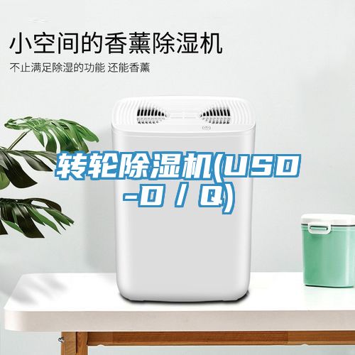 轉輪香蕉视频国产(USD-D／Q)