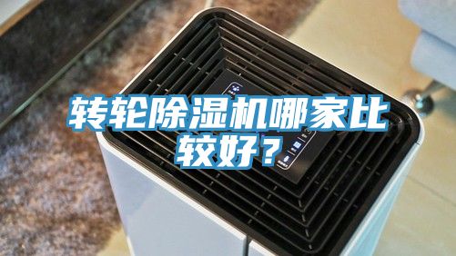 轉輪香蕉视频国产哪家比較好？