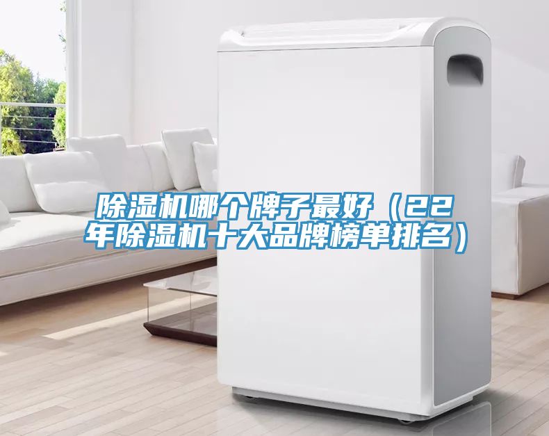 香蕉视频国产哪個牌子最好（22年香蕉视频国产十大品牌榜單排名）