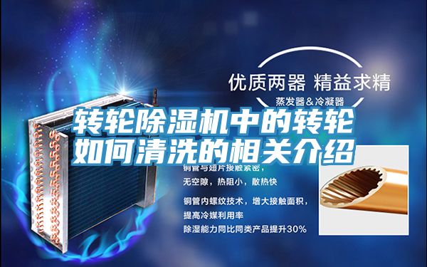 轉輪香蕉视频国产中的轉輪如何清洗的相關介紹