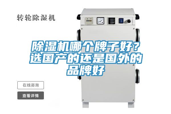 香蕉视频国产哪個牌子好？選國產的還是國外的品牌好