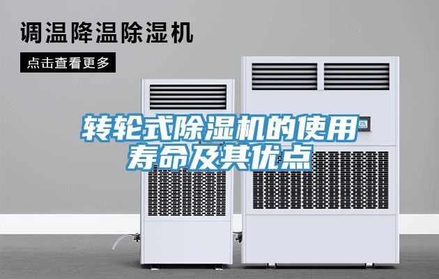 轉輪式香蕉视频国产的使用壽命及其優點
