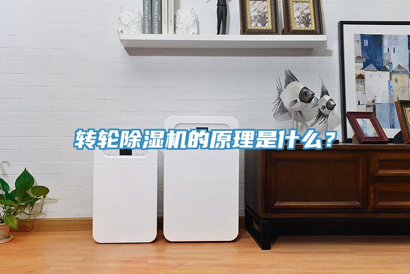 轉輪香蕉视频国产的原理是什麽？