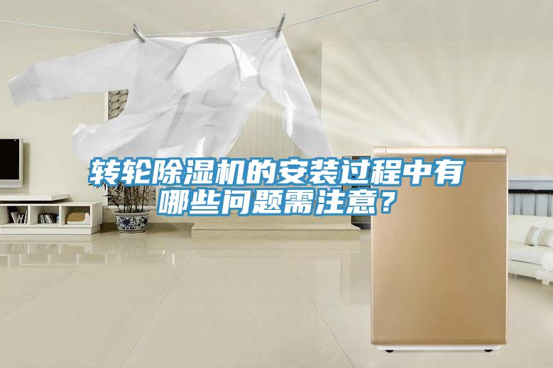 轉輪香蕉视频国产的安裝過程中有哪些問題需注意？