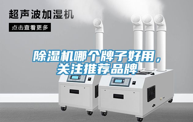 香蕉视频国产哪個牌子好用，關注推薦品牌