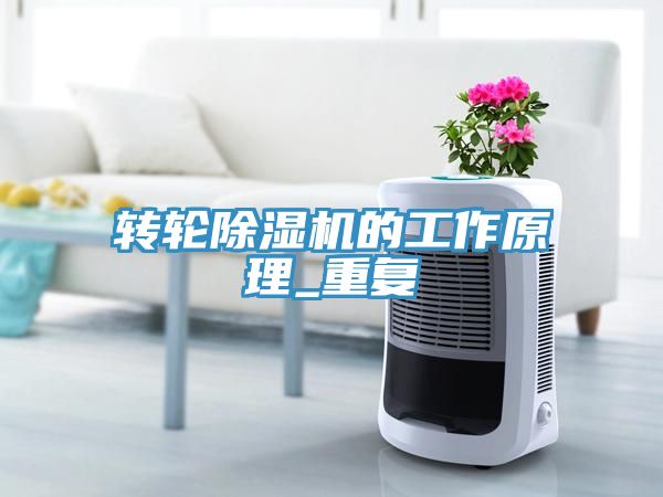轉輪香蕉视频国产的工作原理_重複