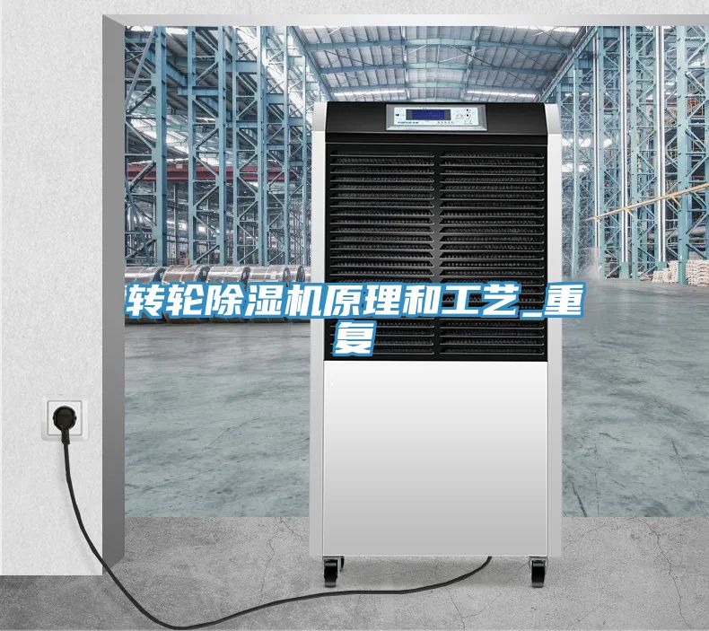 轉輪香蕉视频国产原理和工藝_重複