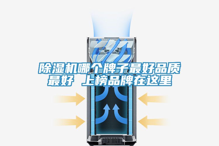 香蕉视频国产哪個牌子最好品質最好 上榜品牌在這裏