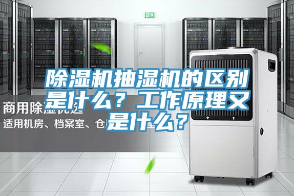 香蕉视频国产抽濕機的區別是什麽？工作原理又是什麽？