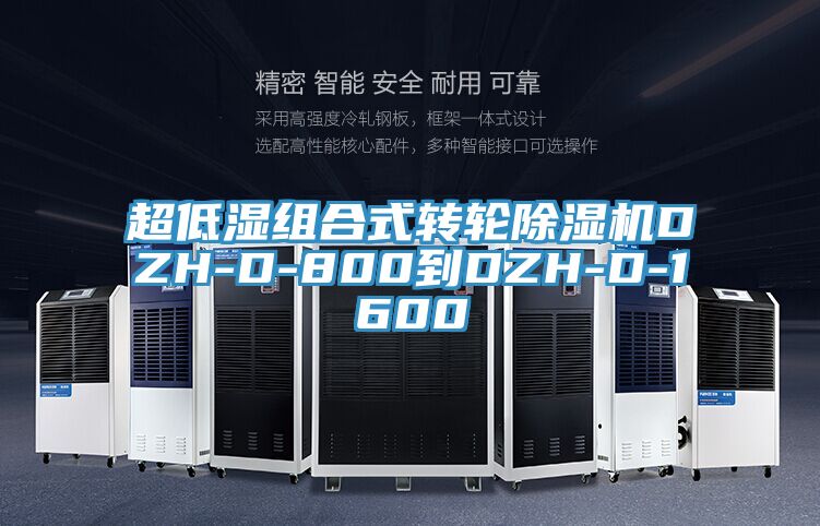 超低濕組合式轉輪香蕉视频国产DZH-D-800到DZH-D-1600