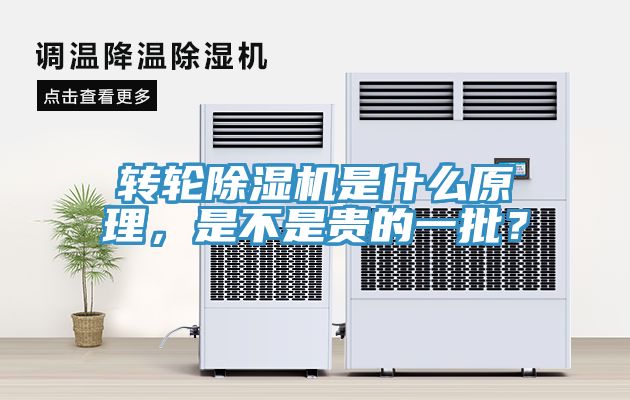 轉輪香蕉视频国产是什麽原理，是不是貴的一批？