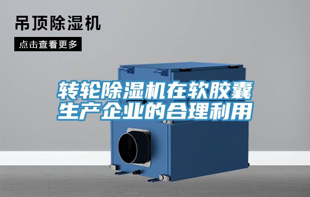 轉輪香蕉视频国产在軟膠囊生產企業的合理利用