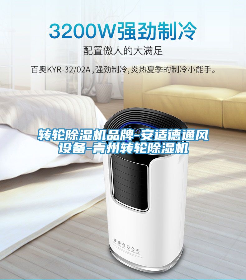 轉輪香蕉视频国产品牌-安適德通風設備-青州轉輪香蕉视频国产